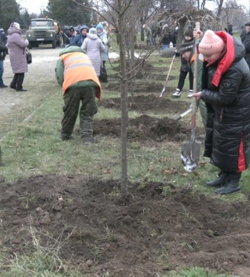 На Алеї захисників Маріуполя у Запоріжжі висадили 30 дерев горобини