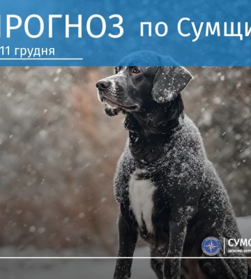 На Сумщині прогнозують потепління