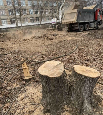 На території Первомайського ліцею незаконно знесли дерева та вирили котлован