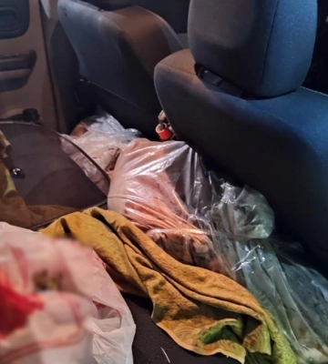 На Полтавщині затримали браконьєрів, які вполювали трьох козуль