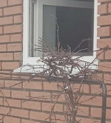 На Полтавщині горів житловий будинок: у полум'ї загинула літня жінка