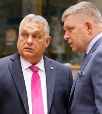 Угорські та словацькі громади Закарпаття звернулися до Орбана та Фіцо: що просять