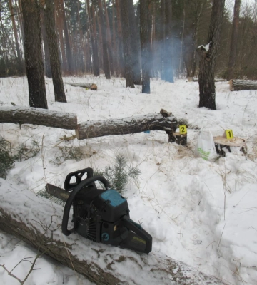 Шосткинські поліцейські викрили чоловіка у незаконній порубці дерев