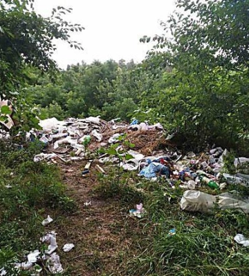 У Миколаєві на ліквідацію несанкціонованих звалищ в Центральному районі впродовж 2024 року планують витратити майже ₴2 мільйона