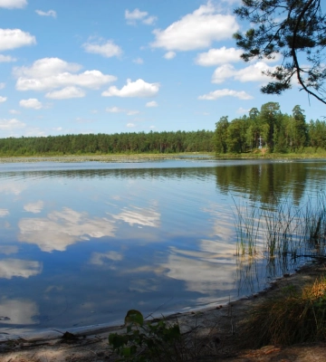 На Сумщині прокуратура домоглась повернення з недобросовісного користування ставка вартістю 158,5 млн грн