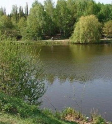 У громаді на Волині заборонили продаж алкоголю військовим та правоохоронцям