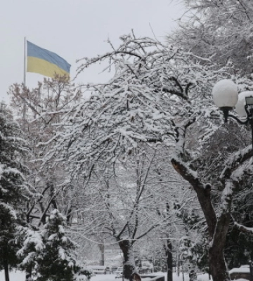 В Україні завтра - мокрий сніг та дощ, від 1° морозу до 4° тепла