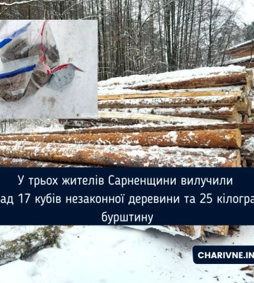 У трьох жителів Сарненщини вилучили понад 17 кубів незаконної деревини та 25 кілограмів бурштину