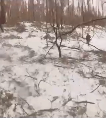 ВСУ отстреливают россиян в лесах Харьковщины: видео боя