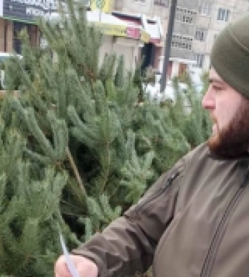 На Волині покарали дев&#039;ять продавців незаконних ялинок