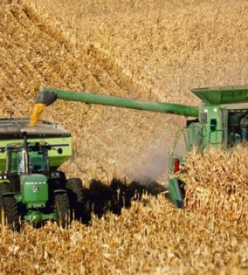 На Вінниччині обсяги виробництва сільгосппродукції зросли на 30% - ОВА