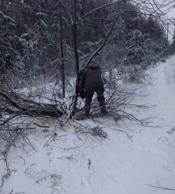 Без світла через негоду на Донеччині залишаються 40 тисяч сімей — ДТЕК