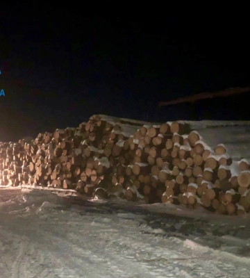 На Волині викрили масштабну схему розкрадання деревини з держлісгоспів