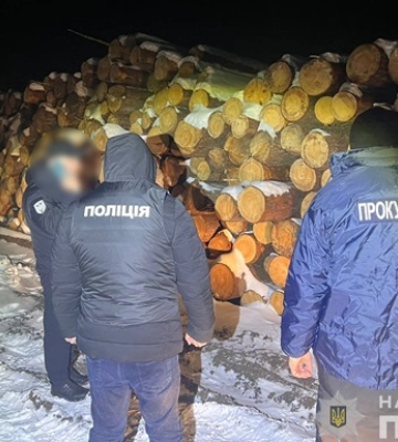 На Волыни разоблачили масштабную схему хищения леса