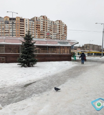 Гололед в Харькове и области: трассы не перекрывали, на улицах местами — каток