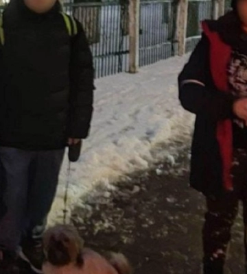 У Києві школярів не пустили до укриття під час тривоги, бо вони були з собакою
