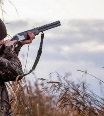 На Львівщині будуть відстрілювати вдень бродячих собак і котів