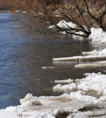 На Волині попереджають про підняття води у річках