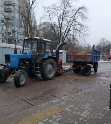 У Дніпрі продовжують обрізати та видаляти аварійні дерева за заявками містян