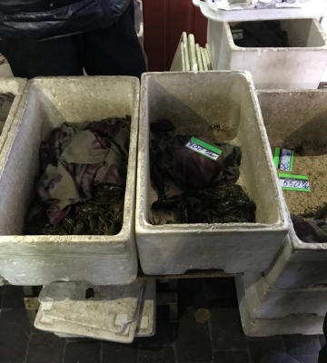 6 кілограмів раків продавали незаконно на ринку у Миколаєві