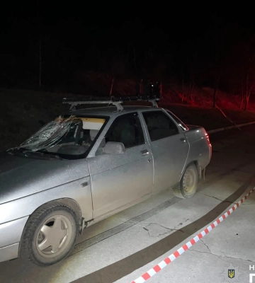 У Вознесенському районі водій збив літнього пішохода - поліція шукає свідків