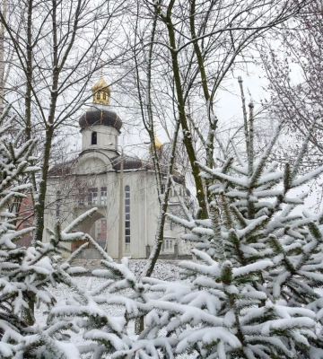 Синоптики розповіли, якою буде погода на Рівненщині 17 грудня