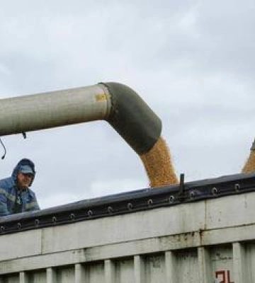 Аграрії Полтавщини намолотили 5 тонн зерна