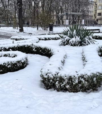 Що відвідати в Івано-Франківську 18 грудня?
