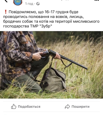 Друга міська рада на Львівщині організувала полювання на собак і котів