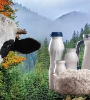 На Закарпатті дорожчає молочна продукція:  у чому причина?