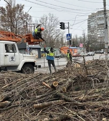 У Миколаєві триває кампанія з обрізки дерев: деревину віддають військовим та у «Пункти незламності»