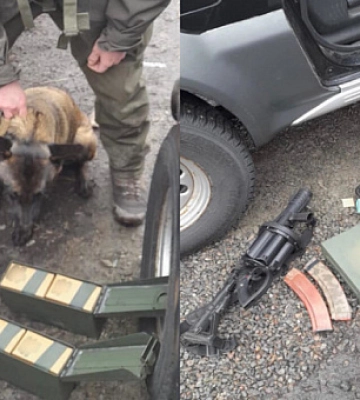 Набої й ручний гранатомет. На Дніпропетровщині службовий собака виявив на блокпосту зброю в автівках