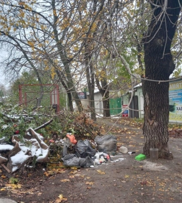 У Миколаєві екологи виявляють велику кількість сміттєзвалищ