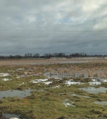 У притоках Прип&#039;яті зростає рівень води: на Волині можливі підтоплення заплав