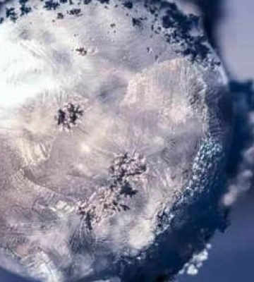 До України йде потепління: прогноз погоди на 19 грудня у Дніпрі