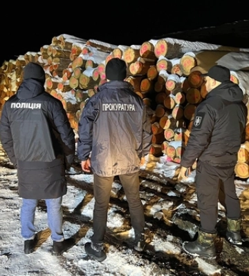 Збитків мільйони гривень: на Волині викрили незаконні вирубки деревини 