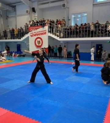 У Миколаєві відбувся чемпіонат області з рукопашного бою
