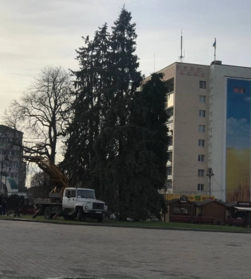 На в&#039;їзді до Луцька легковик збив на переході 19-річну дівчину 