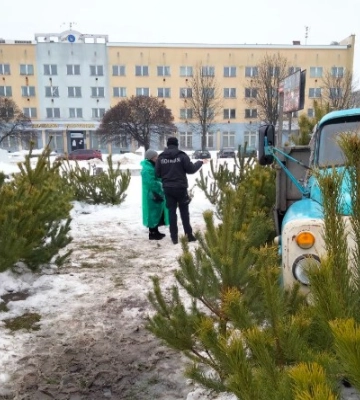 На території Житомирщини тривають рейдові заходи у рамках природоохоронної операції «Новорічна ялинка»