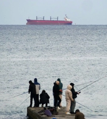 Українським морським коридором експортували вже 10 млн тонн продукції