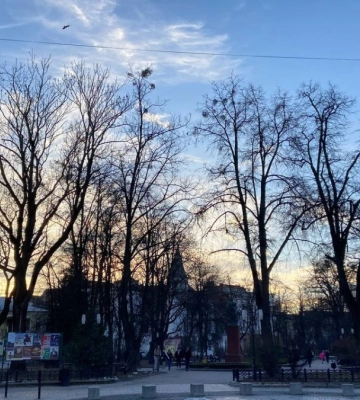 Тепло, як навесні: погода в Івано-Франківську 20 грудня