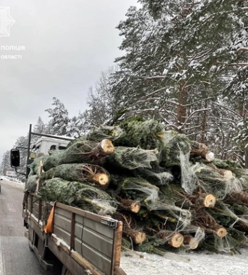 На Волині зупинили автівку з незаконним вантажем