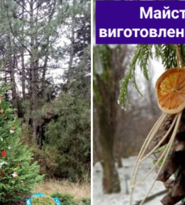 У ботсаду Дніпра проведуть майстер-клас з виготовлення екоіграшок та прикрасять ялинку