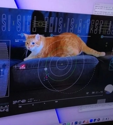 NASA надіслало відео з котом на зонд Psyche за 31 мільйон кілометрів від Землі