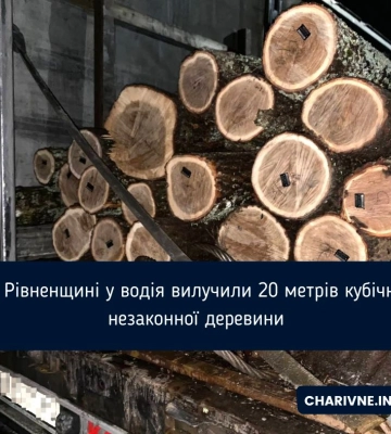 На Сарненщині затримали жителя Житомирщини, який незаконно перевозив деревину