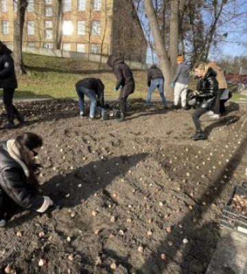 У Львові на Меморіалі пам’яті Небесної Сотні висадили п’ять тисяч тюльпанів