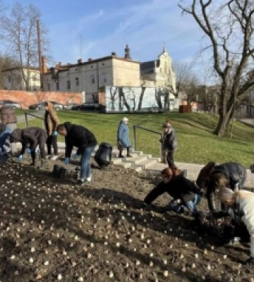 У Львові на Меморіалі пам’яті Небесній Сотні висадили 5 000 тюльпанів