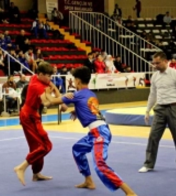 Одеські спортсмени – чемпіони та призери чемпіонату Європи з ушу