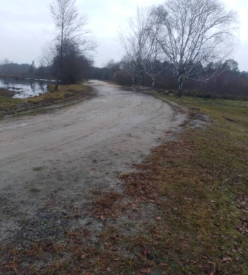 Поблизу Корця водійці допомогли замінити лампу фари
