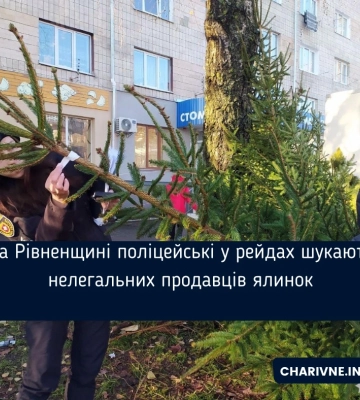 На Рівненщині поліцейські у рейдах шукають нелегальних продавців ялинок